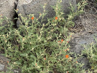 Nine Mile Canyon 069