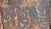 Crane Petroglyphs 33