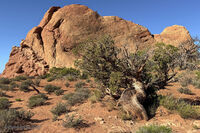 Arches Park 2026 18