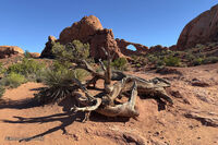 Arches Park 2026 20