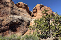 Arches Park 2026 31