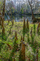 0023 Hdr Santa Fe River 
