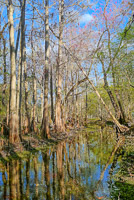 0027 Hdr Santa Fe River 