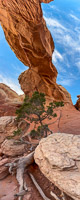 1018 Arches National Park Southwest Trip 2024 