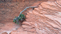 1020 Arches National Park Southwest Trip 2024 