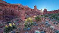 1041 Fisher Towers Southwest Trip 2024 