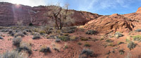 3012 Panorama Paria Canyon Southwest Trip 2024 Vermilion Cliffs 2024 Day3