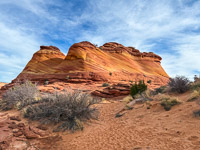 1017 Coyote Buttes North The Wave Vermilion Cliffs 2024 