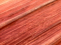 1057 Coyote Buttes North The Wave Vermilion Cliffs 2024 