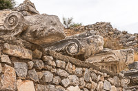 1014 Ephesus Turkey 2016 Bulls Heads