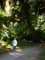 021 Hoh Rain Forest3