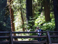 023 Sol Duc Bridge2